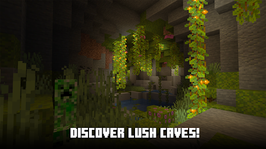 discover lush caves