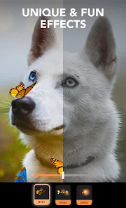 unique and fun effects